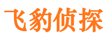 若尔盖侦探